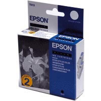 Epson INK CARTRIDGE BLACK DUO (C13T013402)